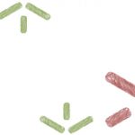Resultados do estudo sobre os dados científicos gerados no âmbito da investigação produzida na Universidade do Minho Resultados do estudo sobre os dados científicos gerados no âmbito da investigação produzida na Universidade do Minho